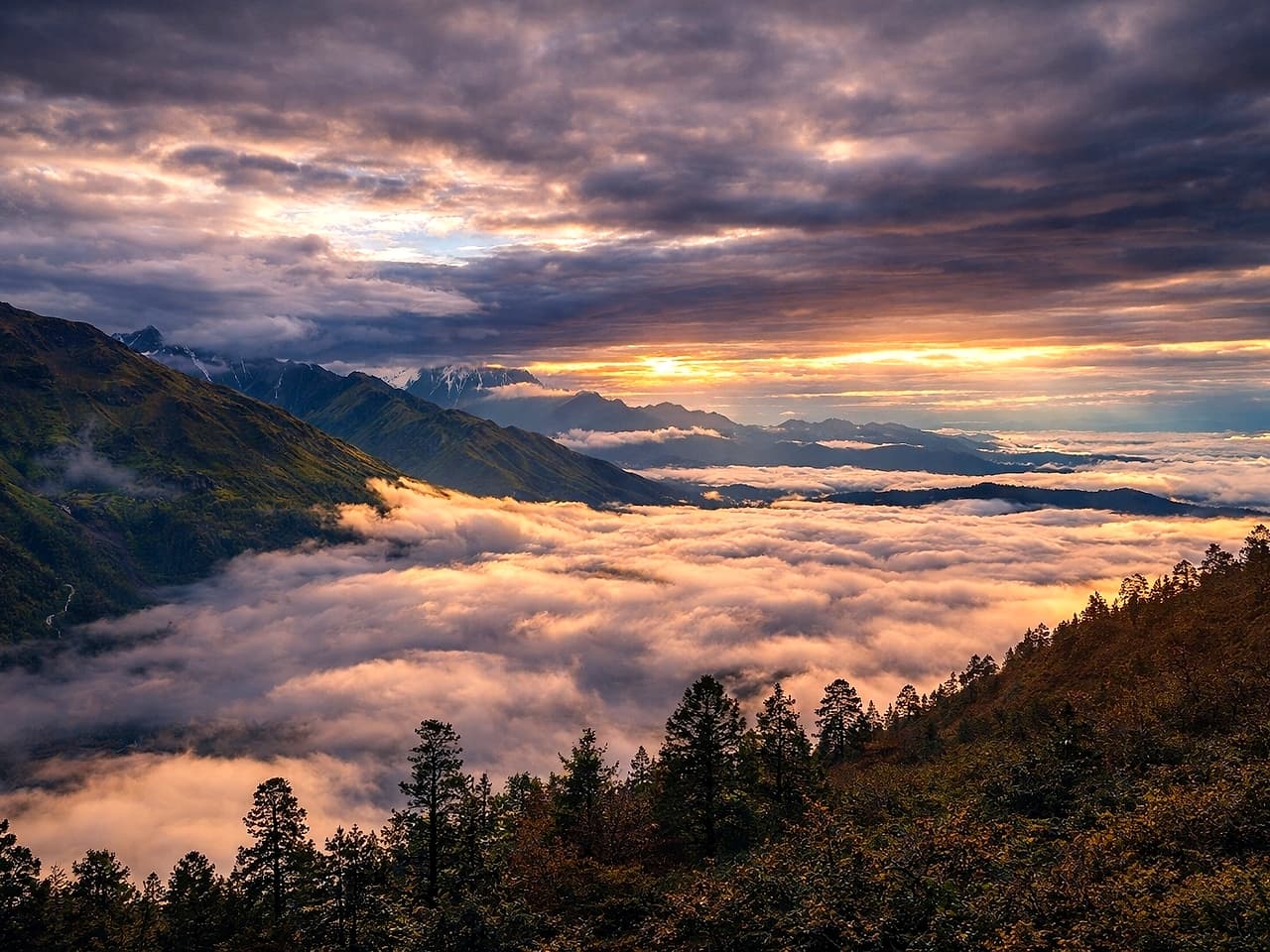 Riding through a revolution